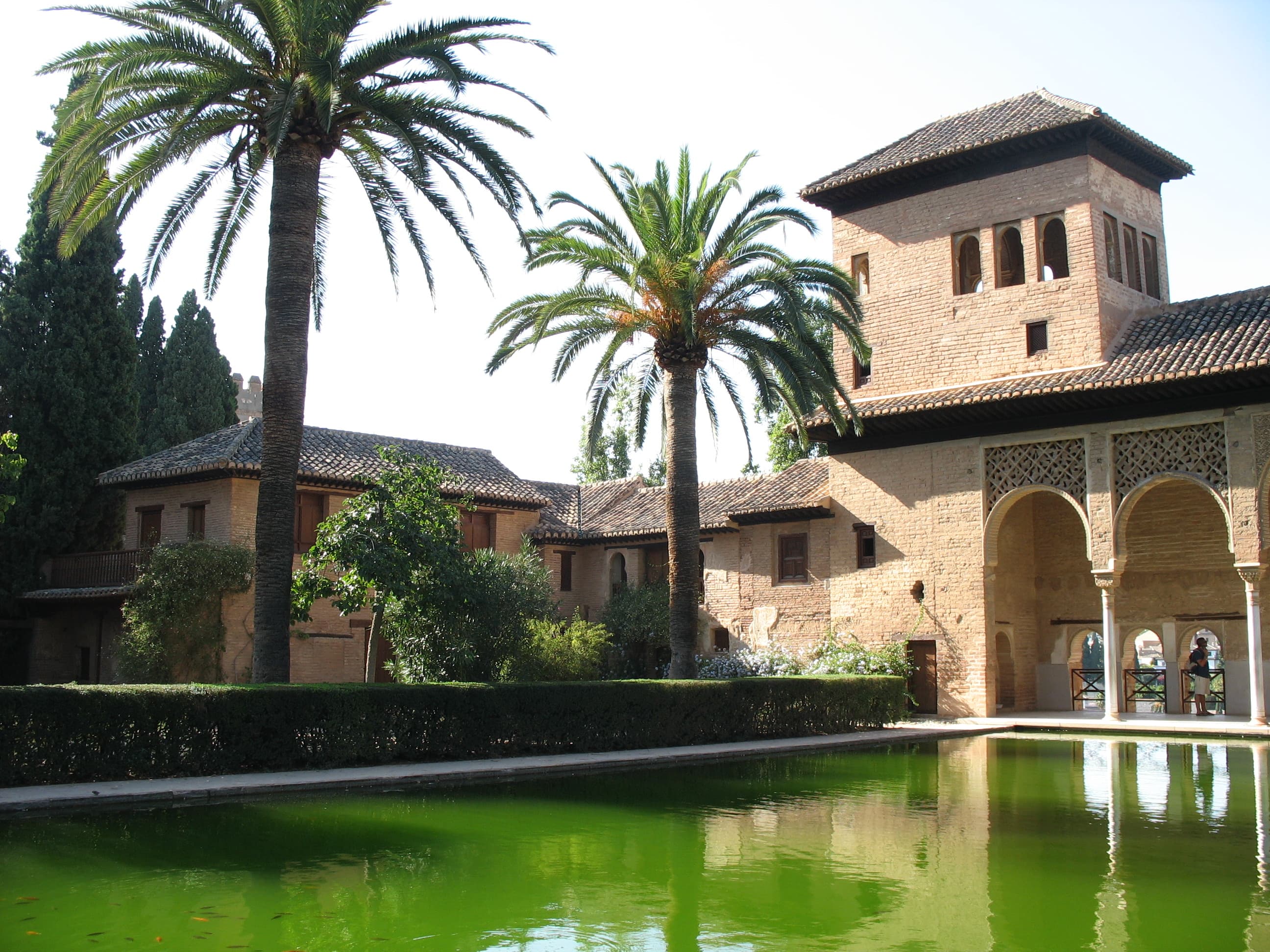 Spanish Refresher Course + Arab Culture (1 week)