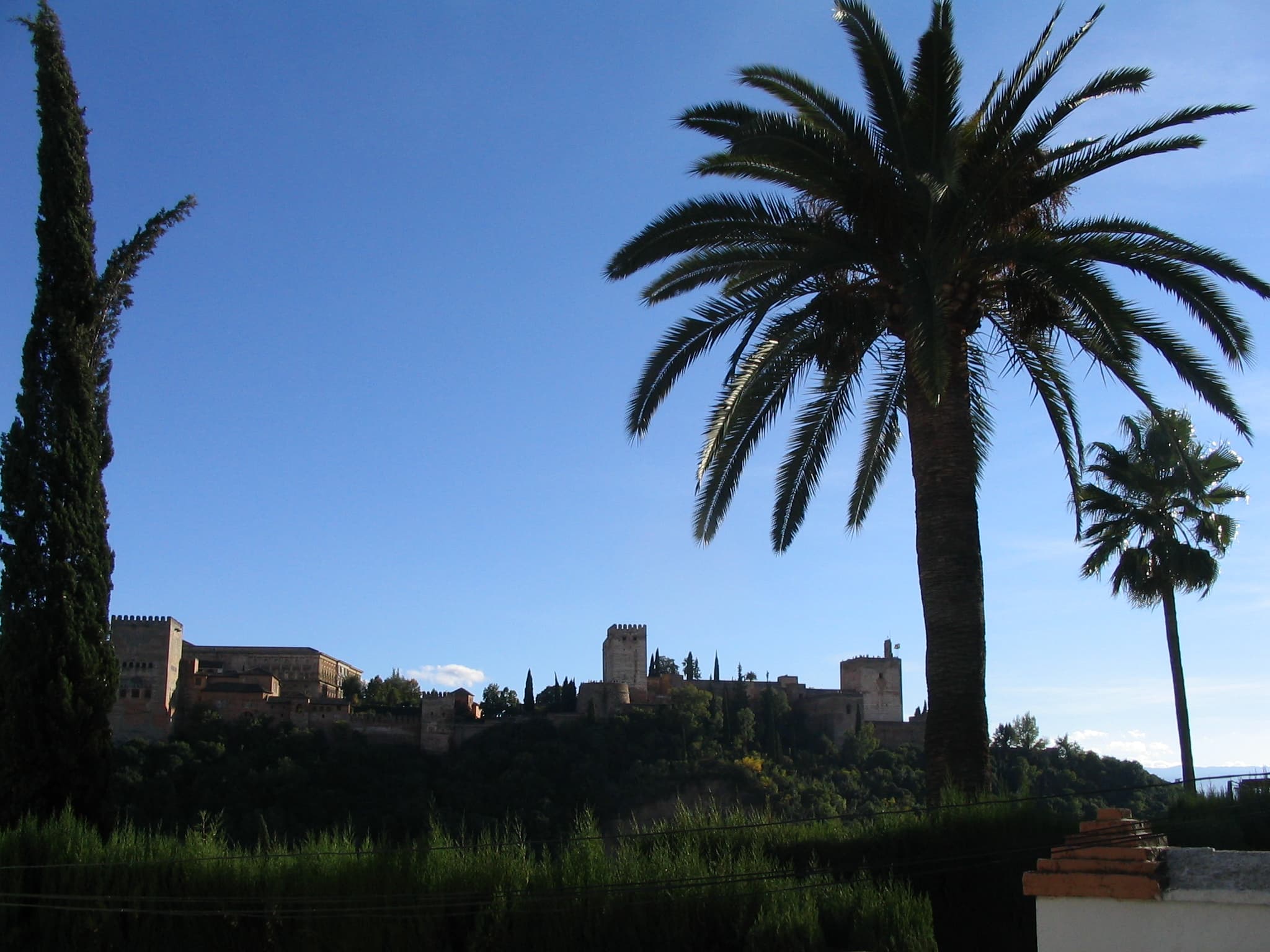 Spanish Refresher Course + Arab Culture (2 weeks)