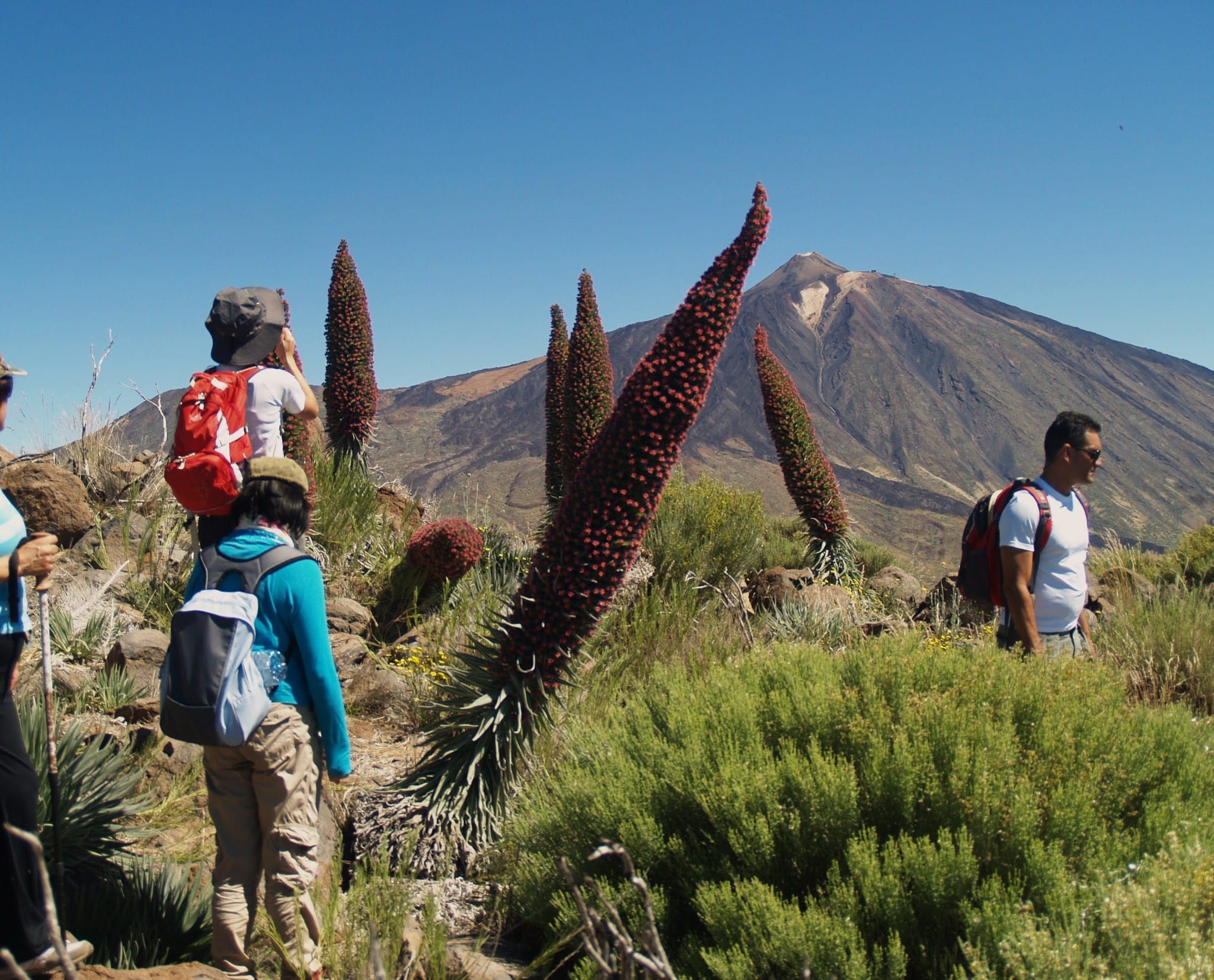 Tenerife, Back to Nature & Mental Welfare training course